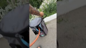 Вагю Водворе
