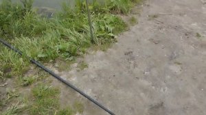 1000031451.mp4