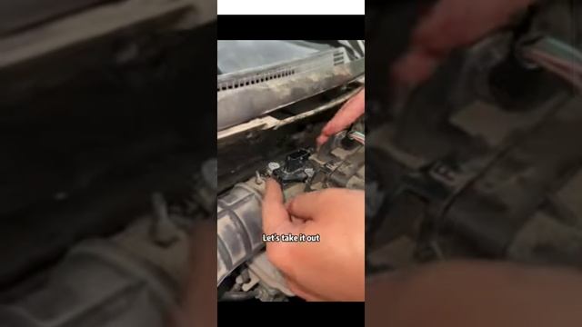 Автомобилист