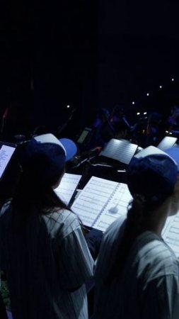 NELLA MUSICA ORCHESTRA «Сумерки. Сага. Симфомультимедия»
