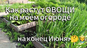 02-07-2025