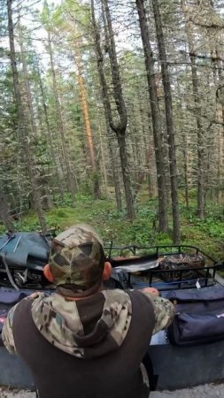Вездеходы на шинах низкого давления с независимой подвеской
