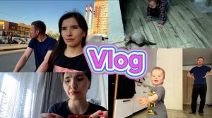 VLOG: НОВЫЙ ПИТОМЕЦ! КИТАЙСКИЕ ВКУСНЯШКИ И НЕМНОГО РЕМОНТА 30.06.2025