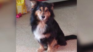 Программа "Главные новости" на 8 канале от 02.07.2025 Часть 2