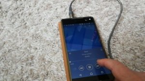 Pioneer TS-WX300A