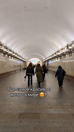 Архив ТикТок 25.11.2024 г.