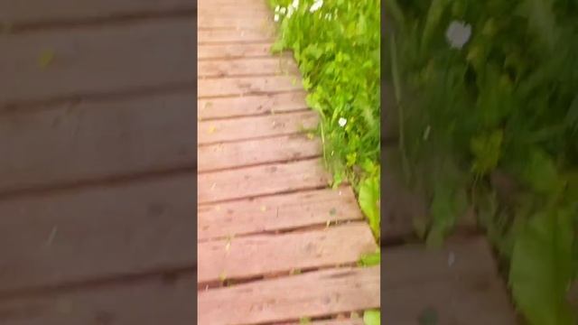 Виды нашего ретрит центра Ярадом!