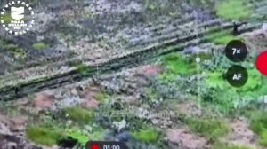 🔴Два укрофашиста сдались в плен🔴