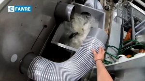 Перекачка и сортировка живого сома. Средняя масса рыбы 1 кг