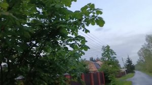 Вечерняя прогулка.