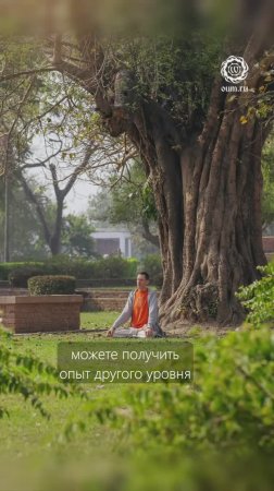 2Часть_Йога, пранаяма и карма: как изменить свою реальность