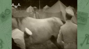 Мой живой журнал. Алексей Брусилов