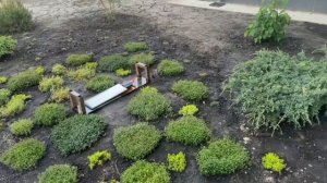 Арт-объект о любви к жене. Авторский арт-объект. Индвидуальный проект в сад. Арт-объект Веры Седовой