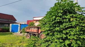 Деревня после дождя, лето в деревне, уютная деревенская жизнь