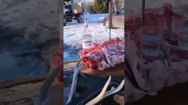 Алко приколы