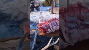 Алко приколы