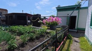 Сушу Иван - чай. муж насмешил