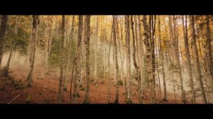 Легенда о великанах — трейлер