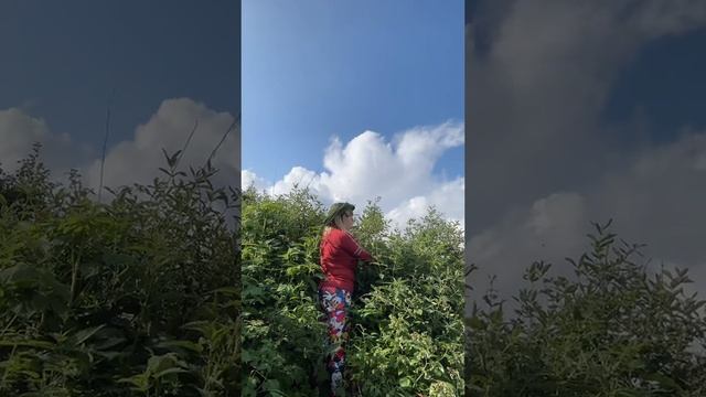Жимолость #уралочка #уральскаядевушка