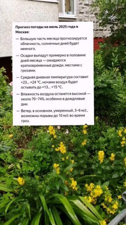 Лето заблудилось? Прогноз на июль