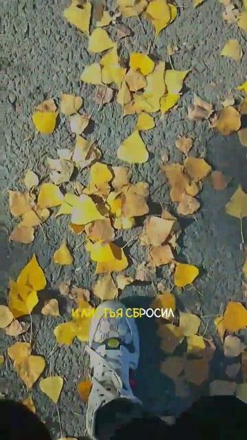 осень. природа. смотреть онлайн