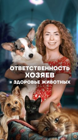 🐶 Сегодня отмечается Международный день собак – верных друзей, которые делают нашу жизнь ярче!