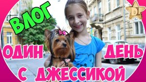Проводим день с моей собакой Йорком.  Купаем, ведем в салон красоты, покупаем вкусняшки