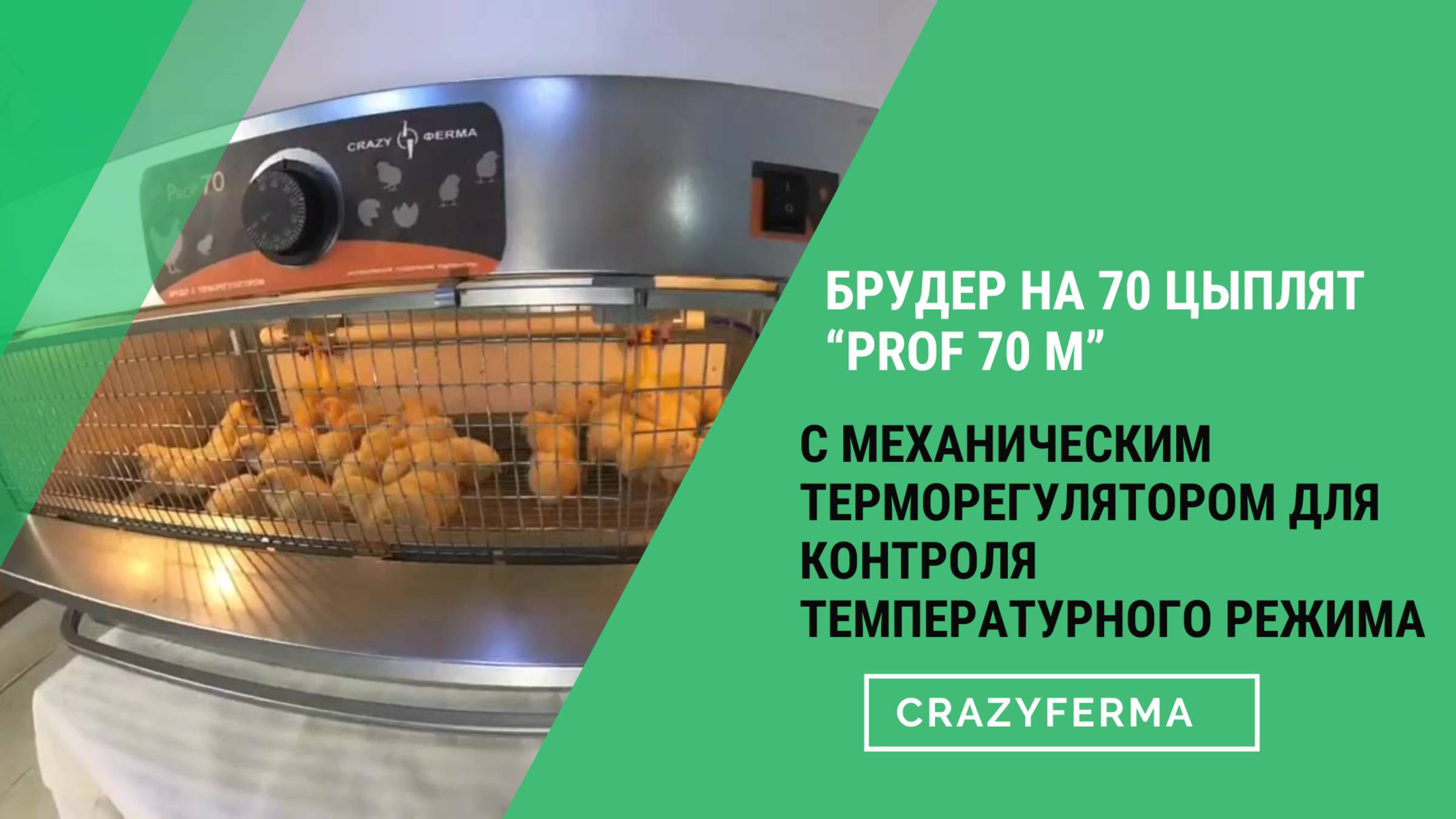 🐥Идеальный микроклимат для цыплят благодаря брудеру с механическим терморегулятором "Prof 70" смотреть онлайн