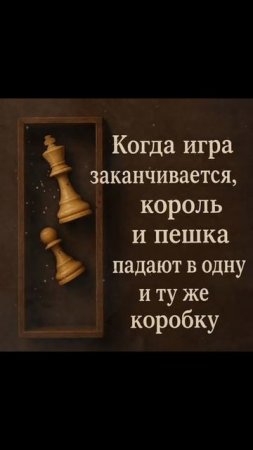 Статусы и цитаты 3
