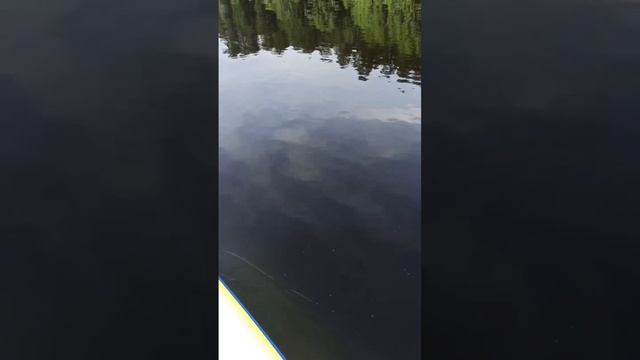 По волнам 🌊🌊🌊❤️