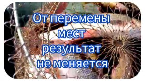 От перемены мест результат не меняется