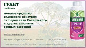 Грант - мощное средство от борщевика и других злостных сорняков. Обзор
гербицида сплошного действия