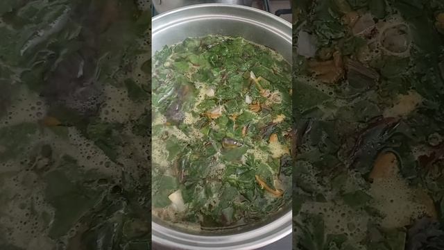 Щи из ботвы и новые босоножки))