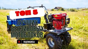 🏆ТОП-5 лучших недорогих бензиновых мотоблоков в 2025 году.