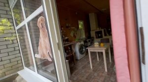 Геленджик. Этажи. СТ. Бетта. Об. 3907137