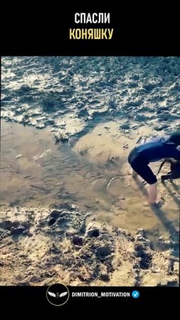Спас жеребенка из грязи #добро