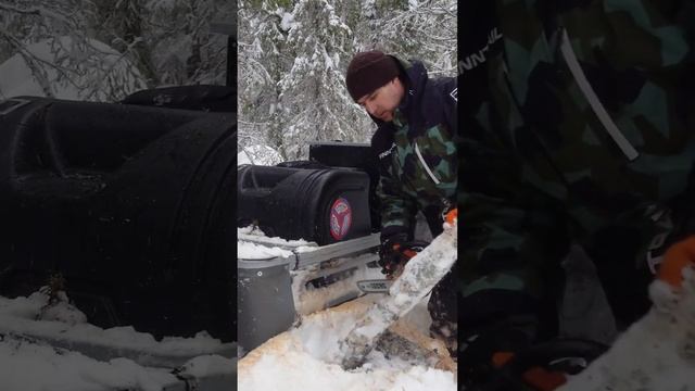 Жизнь в лесу