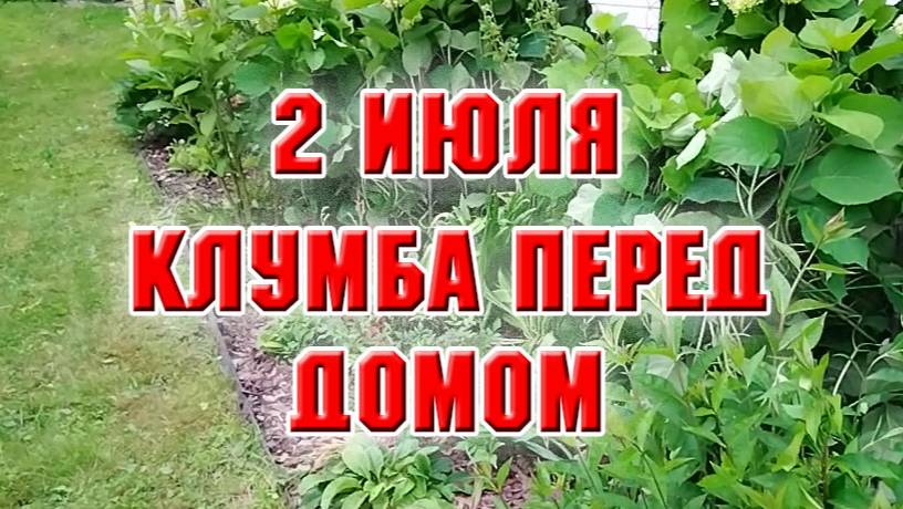 2 июля. Клумба перед домом