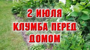 2 июля. Клумба перед домом