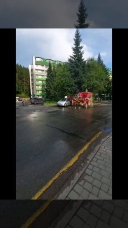 Карета с лошадью