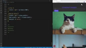 24. CSS (Optional)