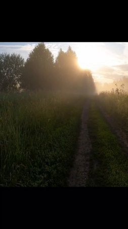 «Параллельный мир»