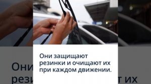 Летняя защита лобового стекла от насекомых