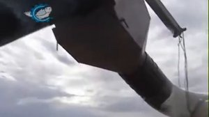 Лов, подъем и  сортировка рыбы на рыбной ферме в Португалии   FAIVRE