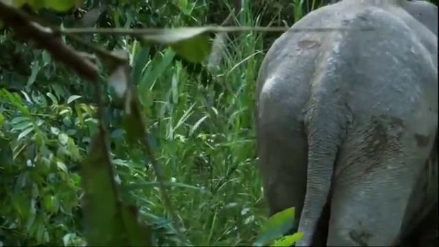 00030 смотреть онлайн