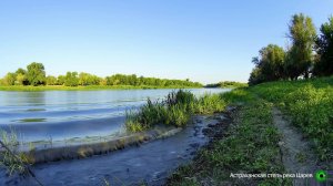 Шум реки, пение птиц: звуки природы для релаксации, сна и медитации