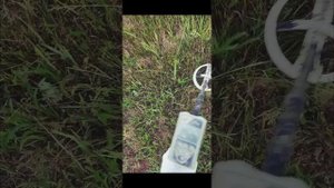 царское серебро XP ORX искатели сокровищ