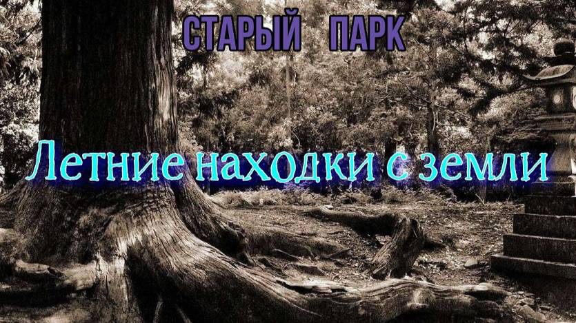 СТАРЫЙ ПАРК "ЛЕТНИЕ НАХОДКИ С ЗЕМЛИ" смотреть онлайн