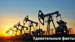 Удивительные факты о нефти! ⛽️