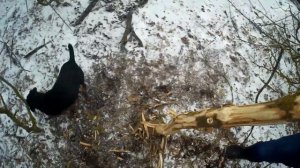 СОЛОНЕЦ для ЗАЙЦЕВ из пластиковой бутылки!!! КОРМИМ ЗАЙЦЕВ СОЛЬЮ)